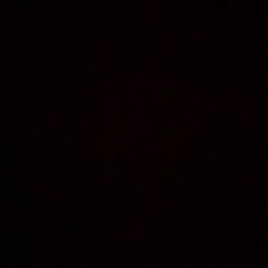 Meet your Posher, Lilly